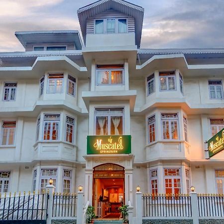 Muscatel Spring Burn - 100 Mts From Mall Road Darjeeling  Exterior photo