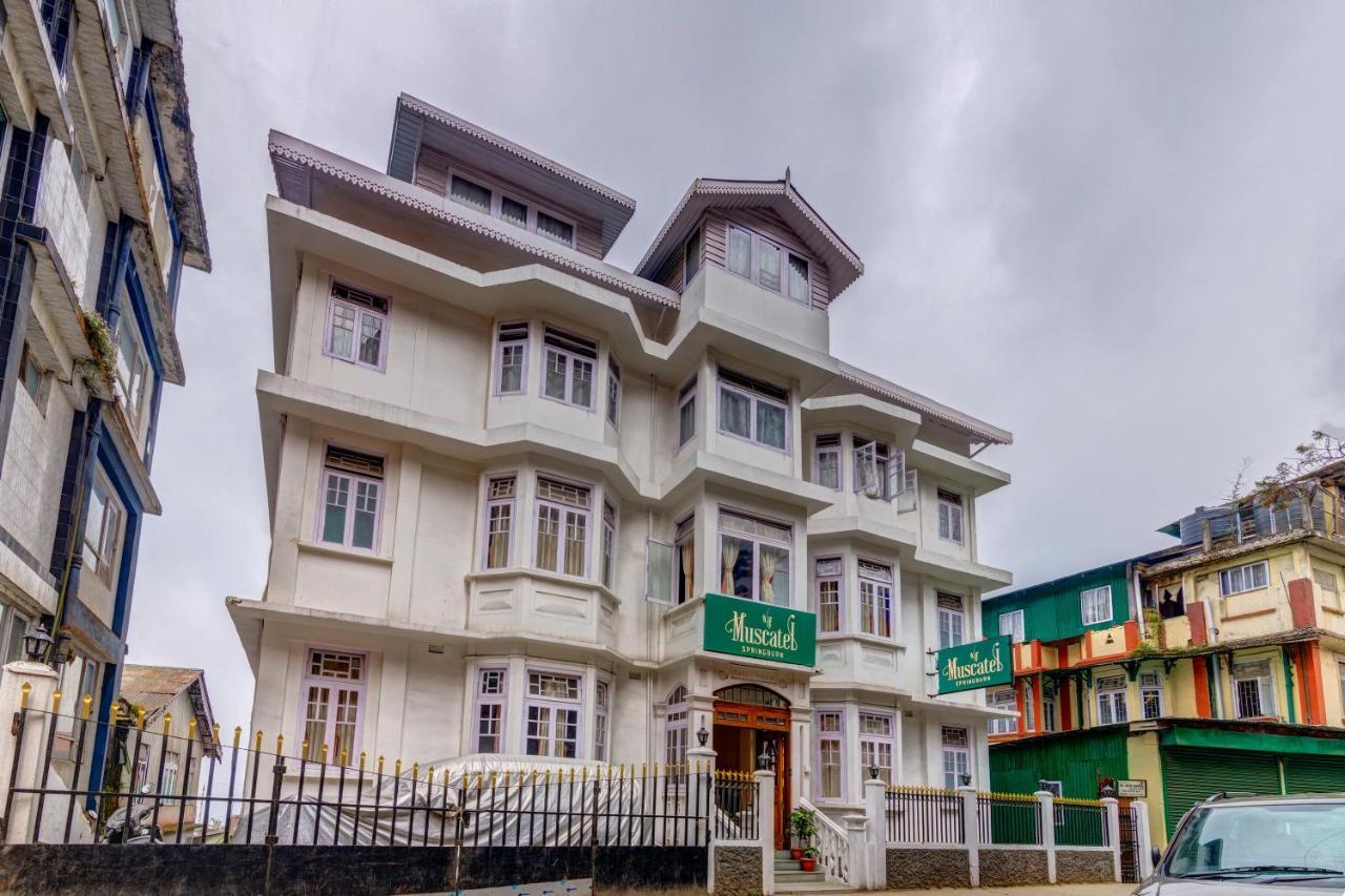 Muscatel Spring Burn - 100 Mts From Mall Road Darjeeling  Exterior photo